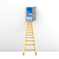 ladder-to-success1